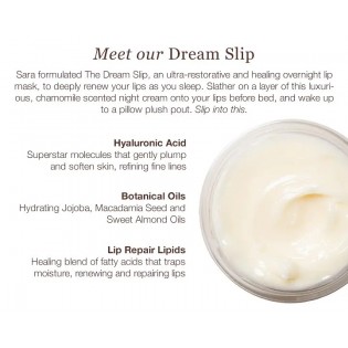 The Dream Slip -Overnight Lip Treatment
